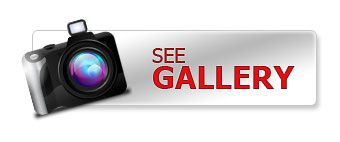 gallery-button
